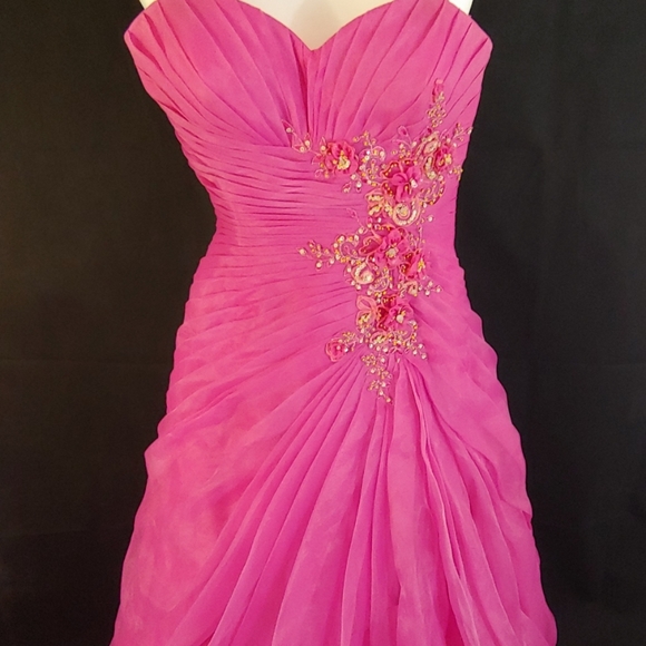 Precious Formals Dresses & Skirts - STUNNING Precious Formals